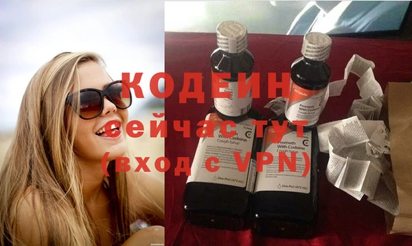 apvp Дмитров