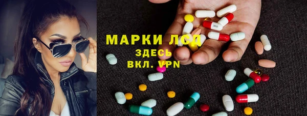 молекула духа Гусев