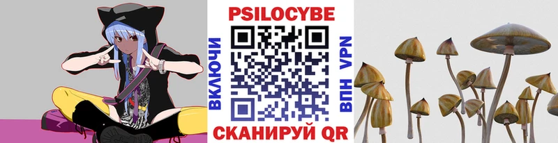 Купить закладки  Невель  Псилоцибиновые грибы мухоморы 